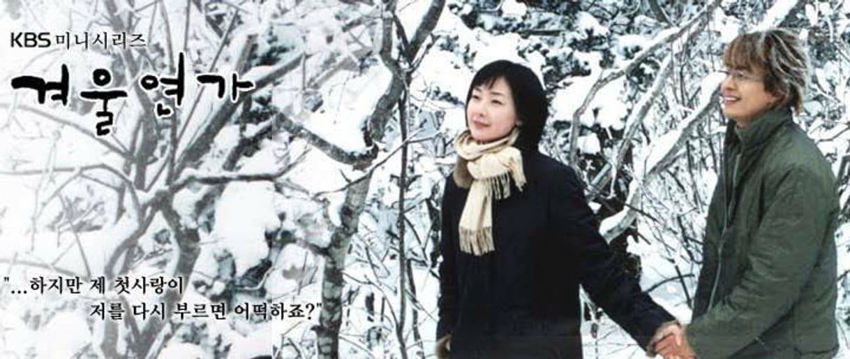 Serie Winter Sonata