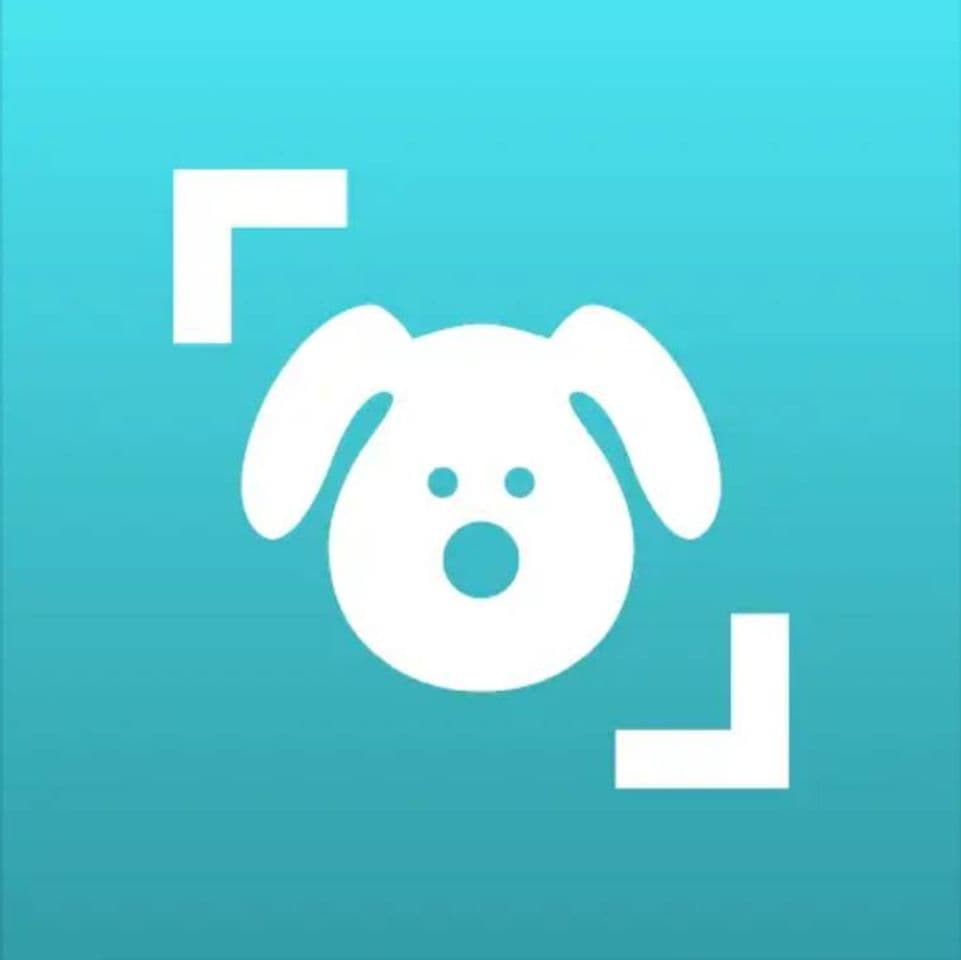 App Dog Scanner – Dog Breed Identification