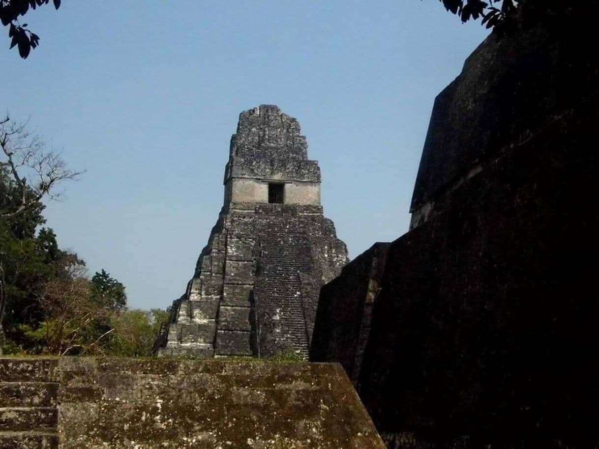 Place Tikal