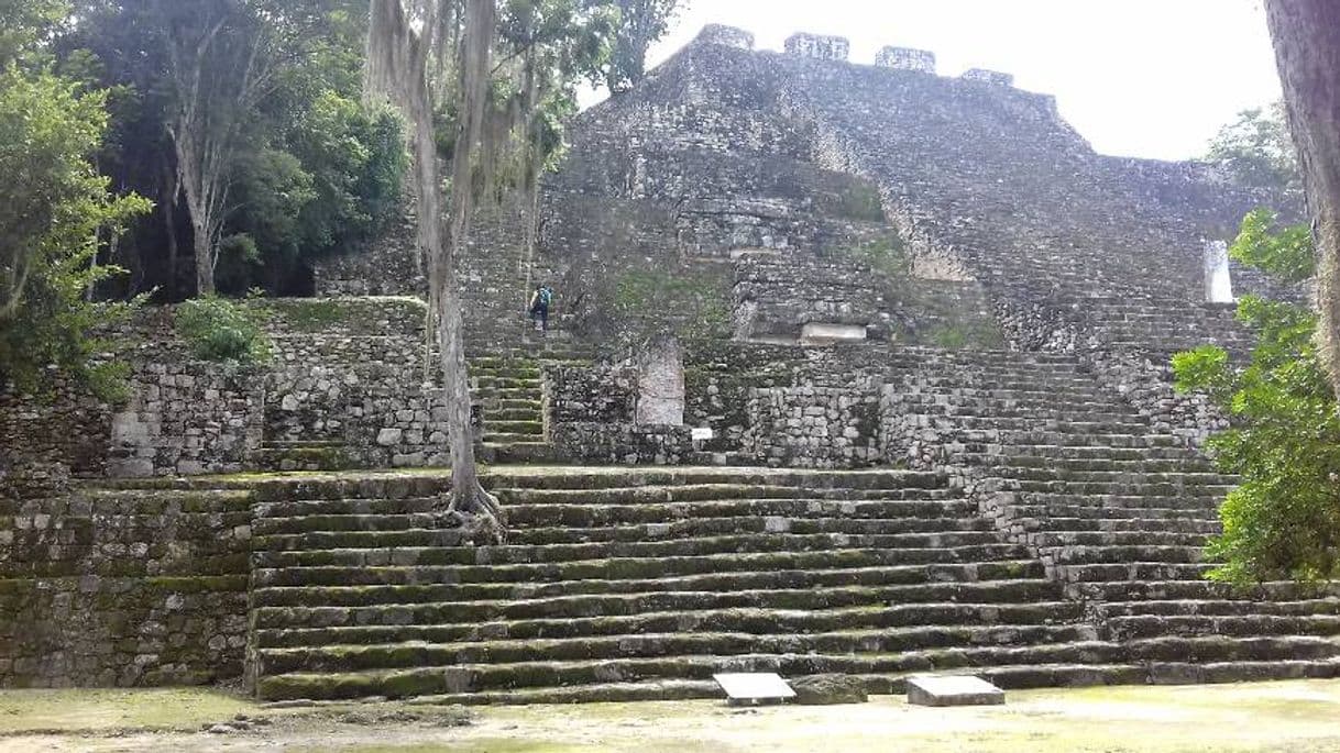 Place Calakmul