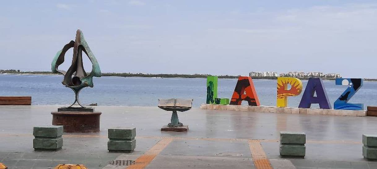 Lugar Malecon La Paz, B.C.S