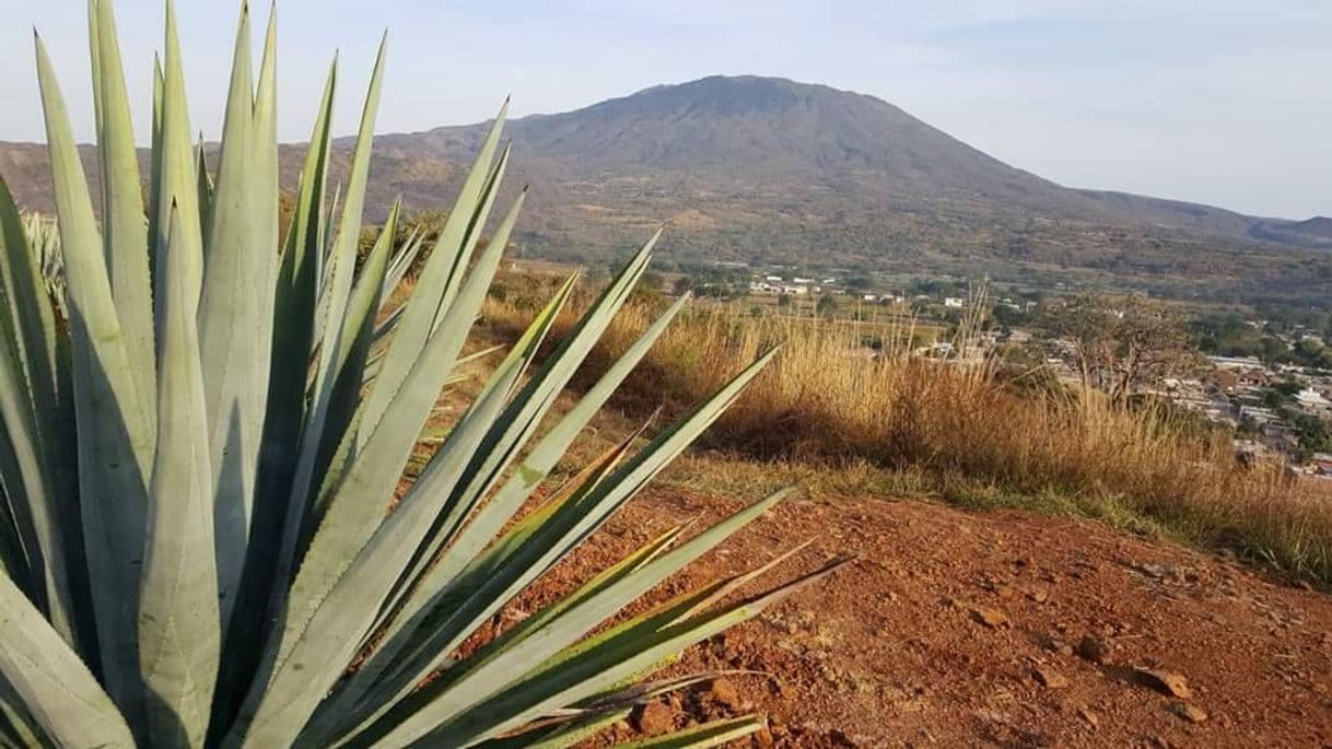 Lugar Ahuacatlán