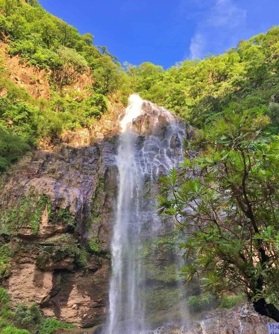 Lugar Jomulco