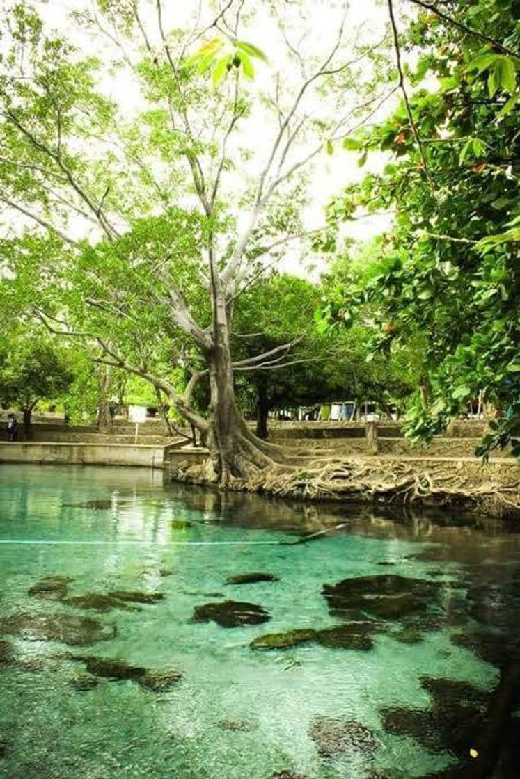 Place Istmo de Tehuantepec