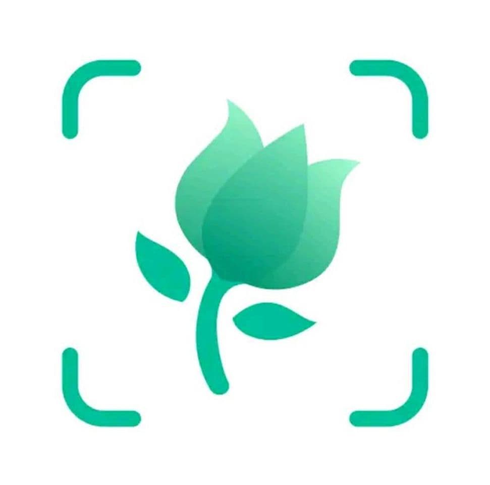 App PictureThis: Identify Plant, Flower, Weed and More - Apps on Google ...