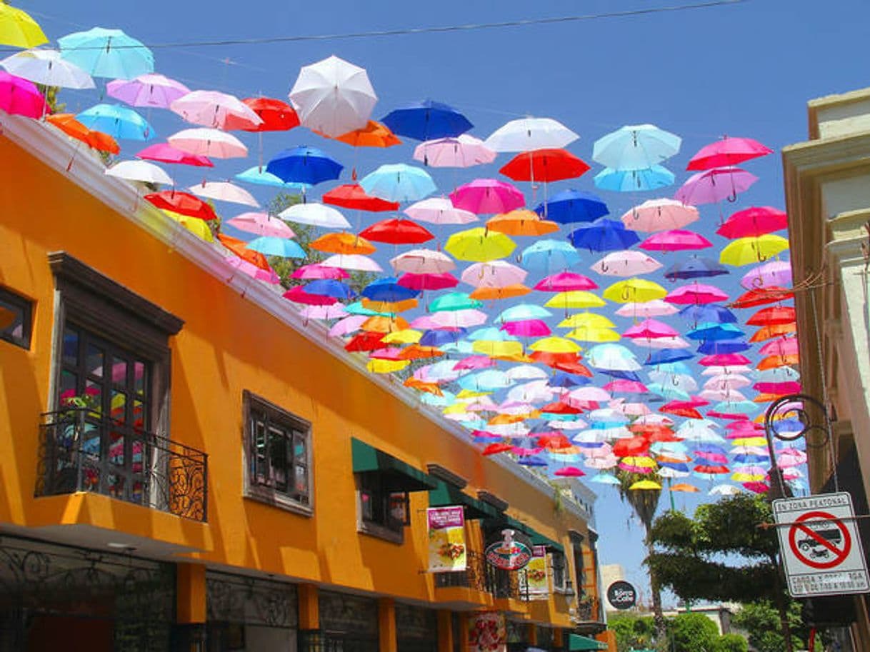 Restaurantes San Pedro, Tlaquepaque