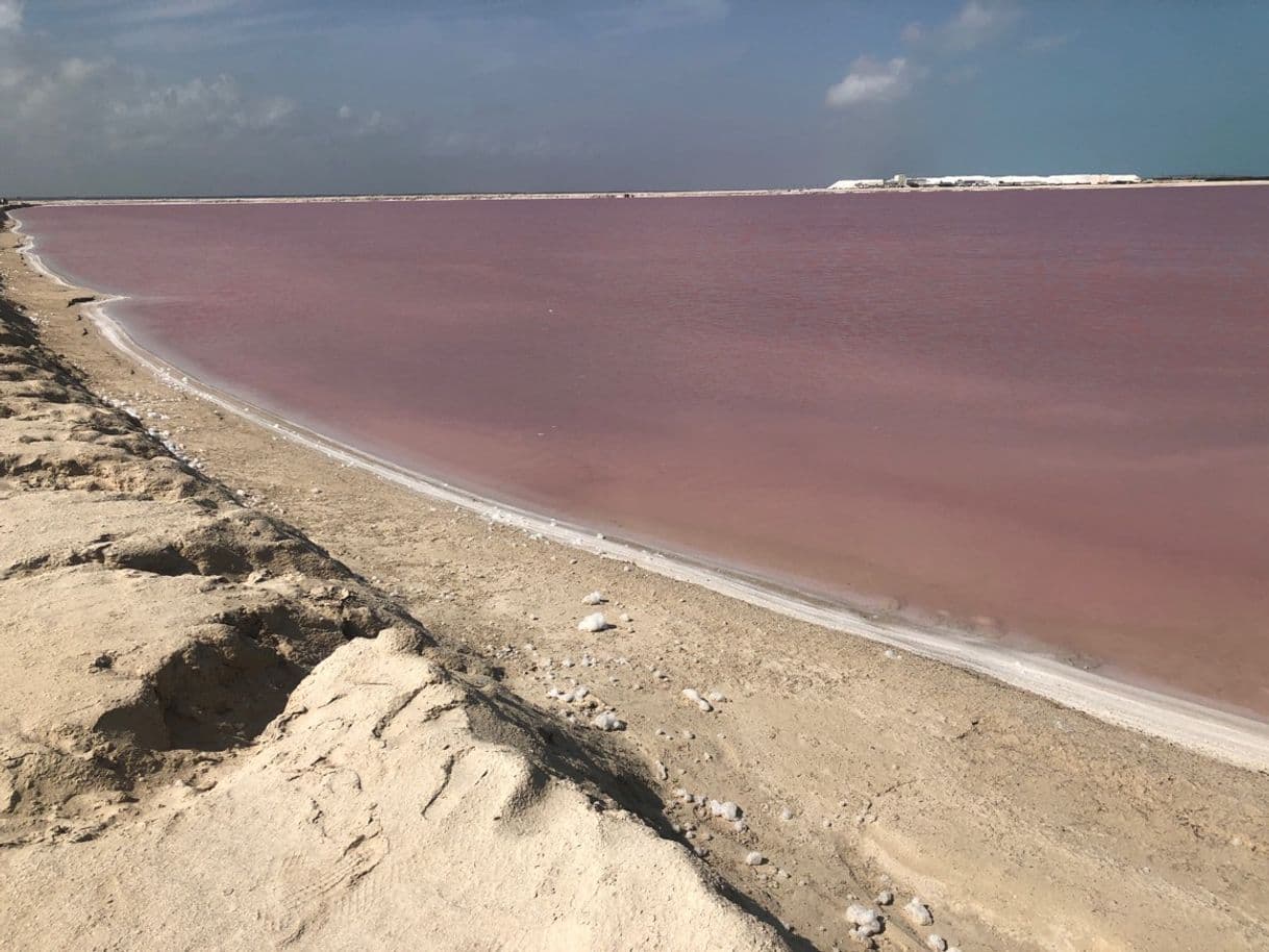 Lugar Laguna Colorada