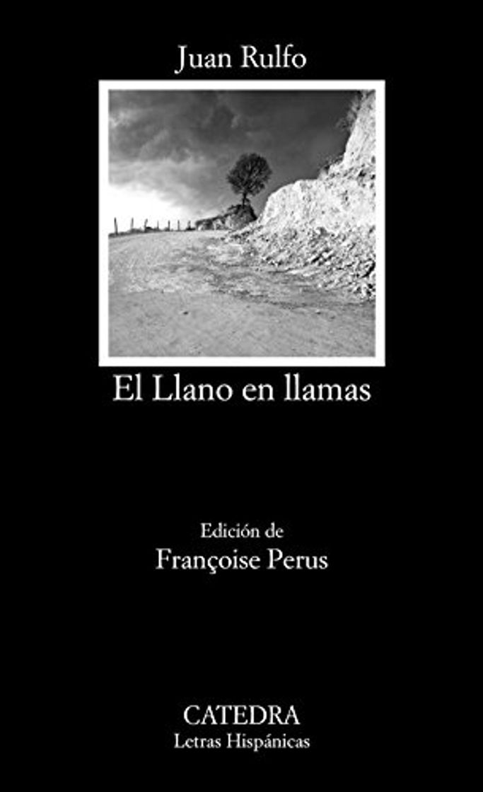 Book El Llano en llamas