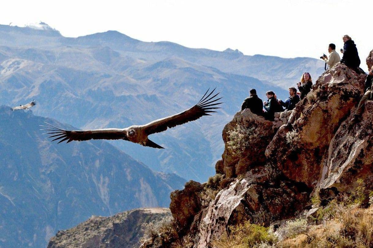 Place Cañón del Colca