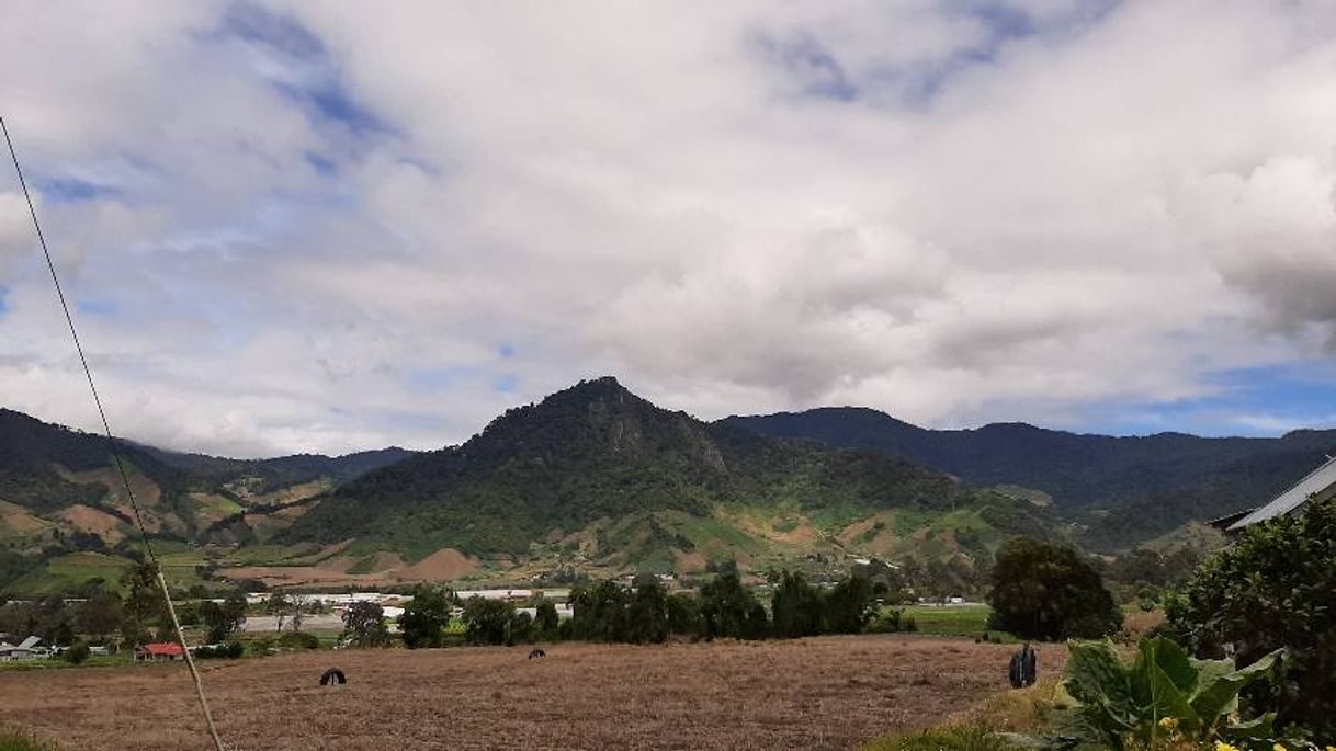 Lugar Cerro Punta