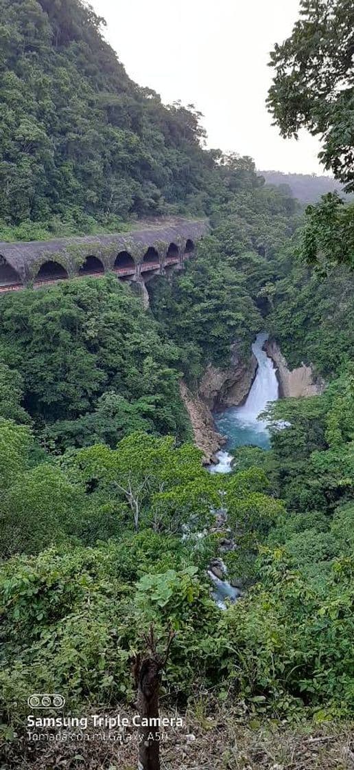 Place Cascada "De Atoyac"