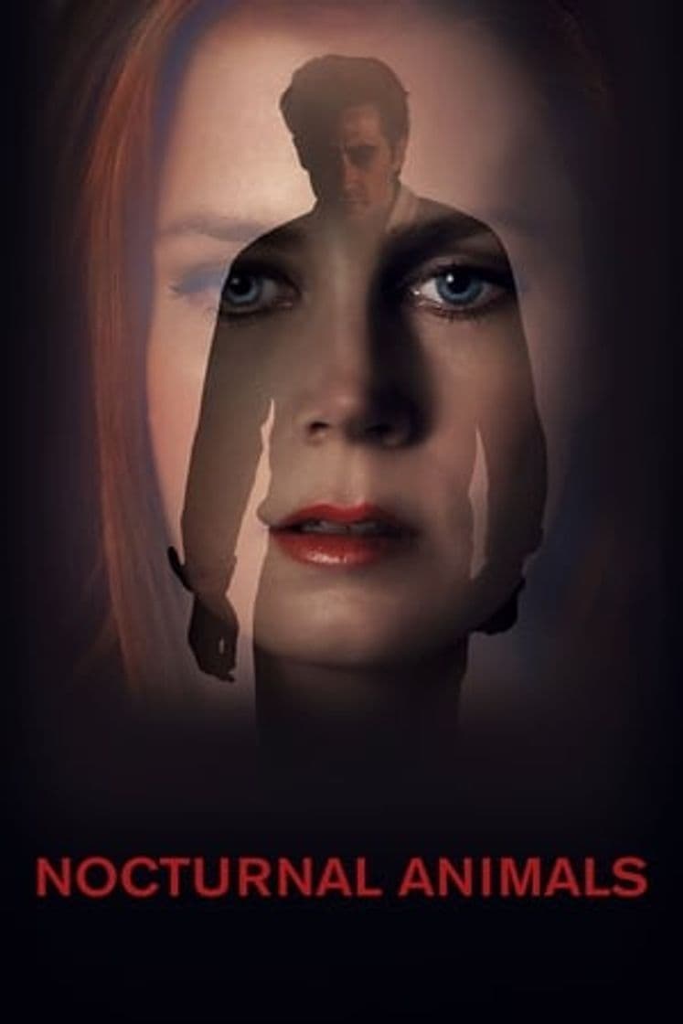 Película Nocturnal Animals