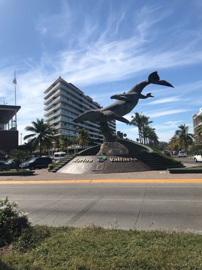 Place Puerto Vallarta