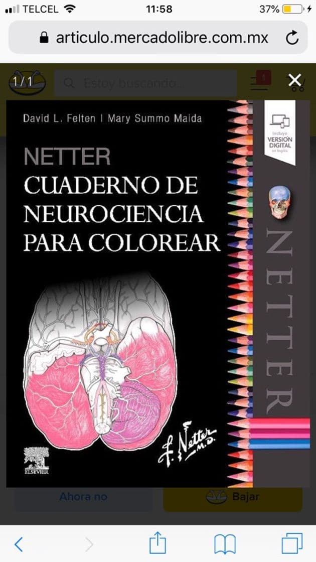 Moda Cuaderno para colorear Netter 