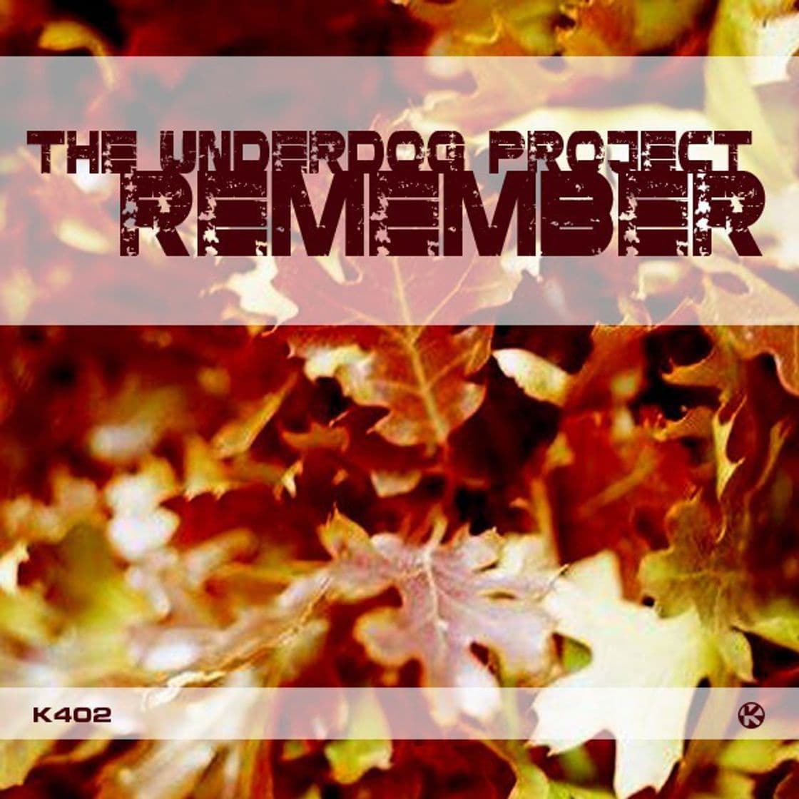 Canción Remember (Instrumental Mix)