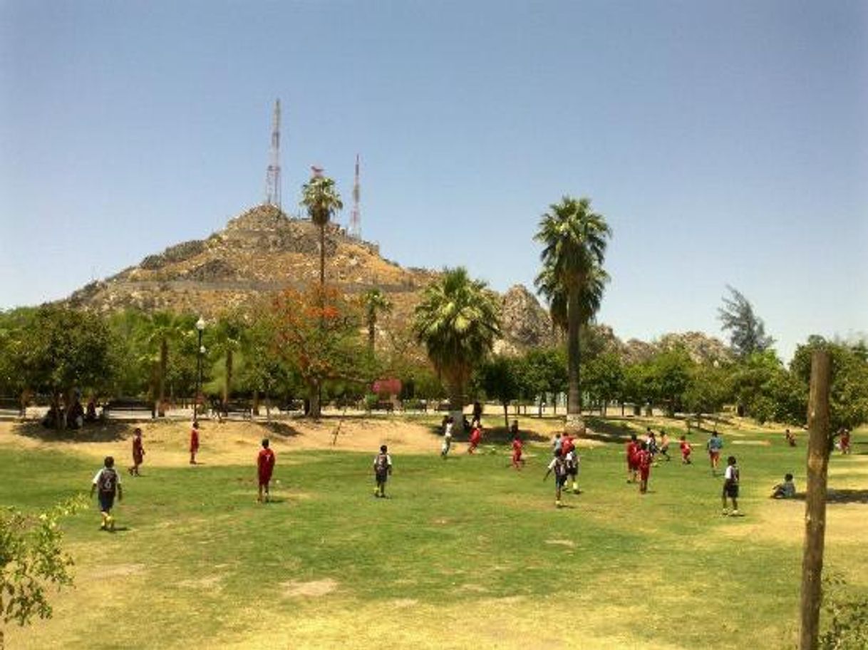 Lugar Parque Madero