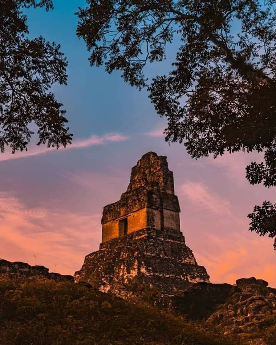 Lugar Tikal, Peten Guatemala