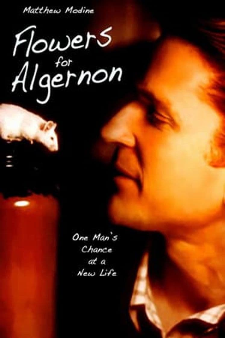 Película Flowers for Algernon