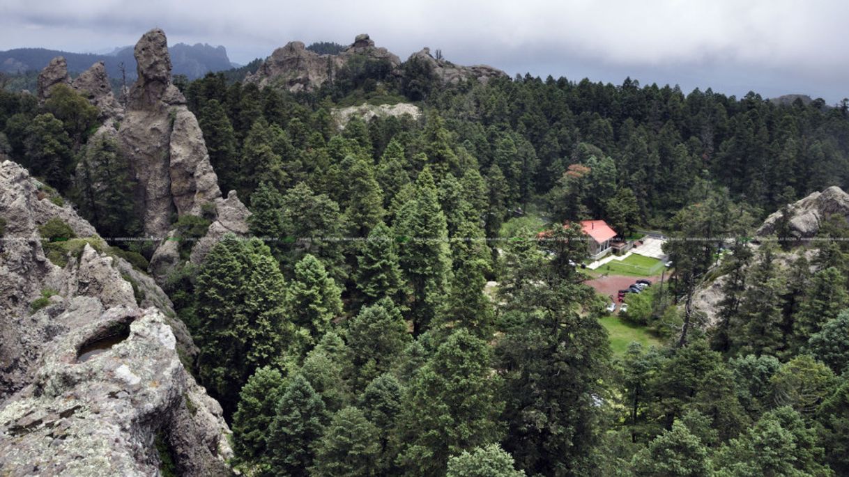 Lugar Mineral del Chico