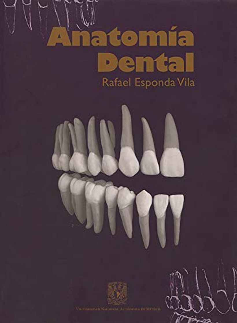 Moda Anatomía dental