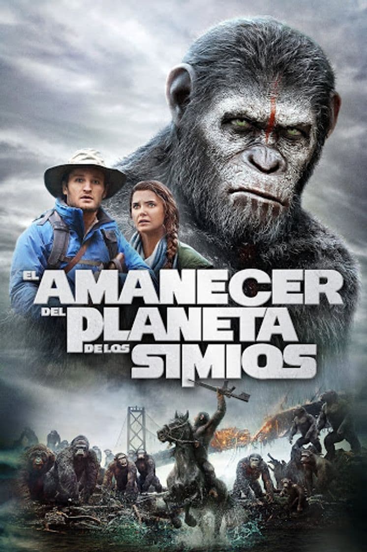 Película Dawn of the Planet of the Apes