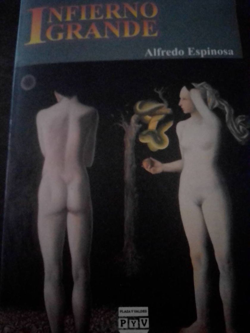 Libro Infierno Grande - Alfredo Espinosa