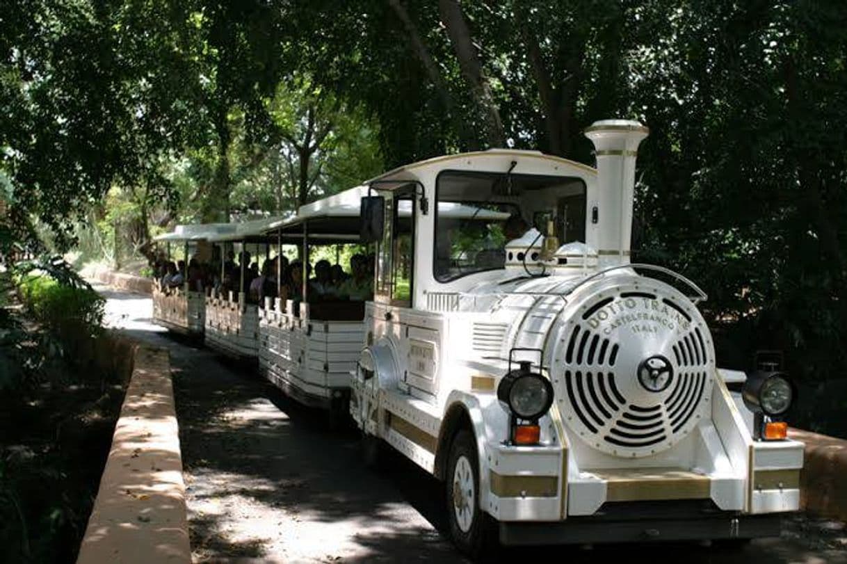 Lugar Zoológico Guadalajara