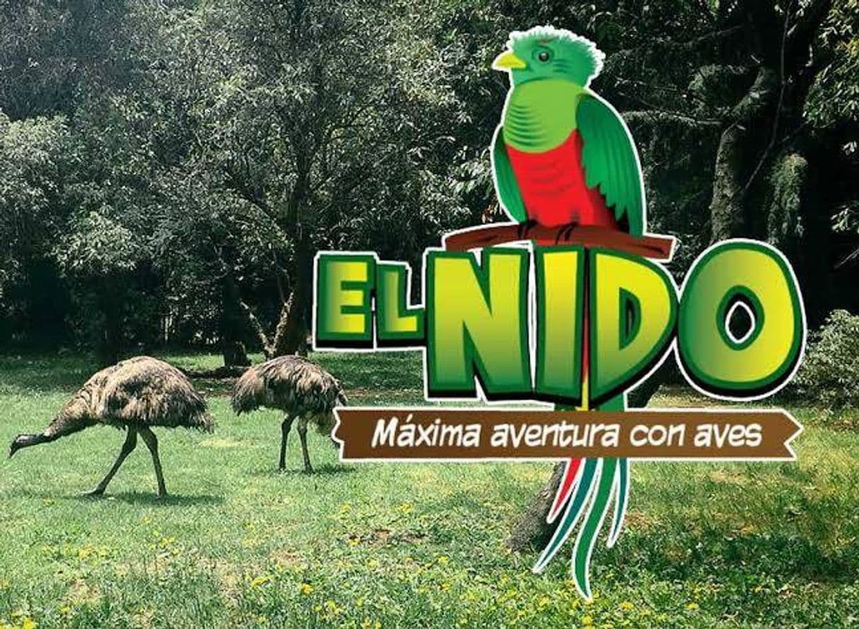 Lugar El Nido Aviario