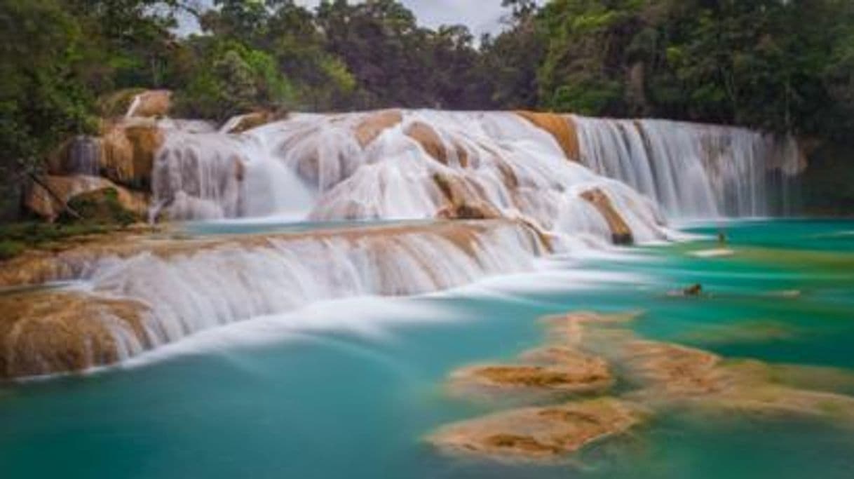 Lugar Cascadas Agua Azul