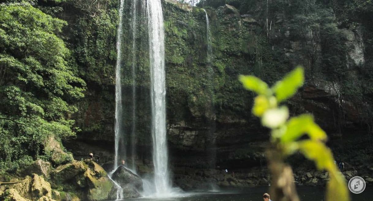 Lugar Cascada Misol-Ha