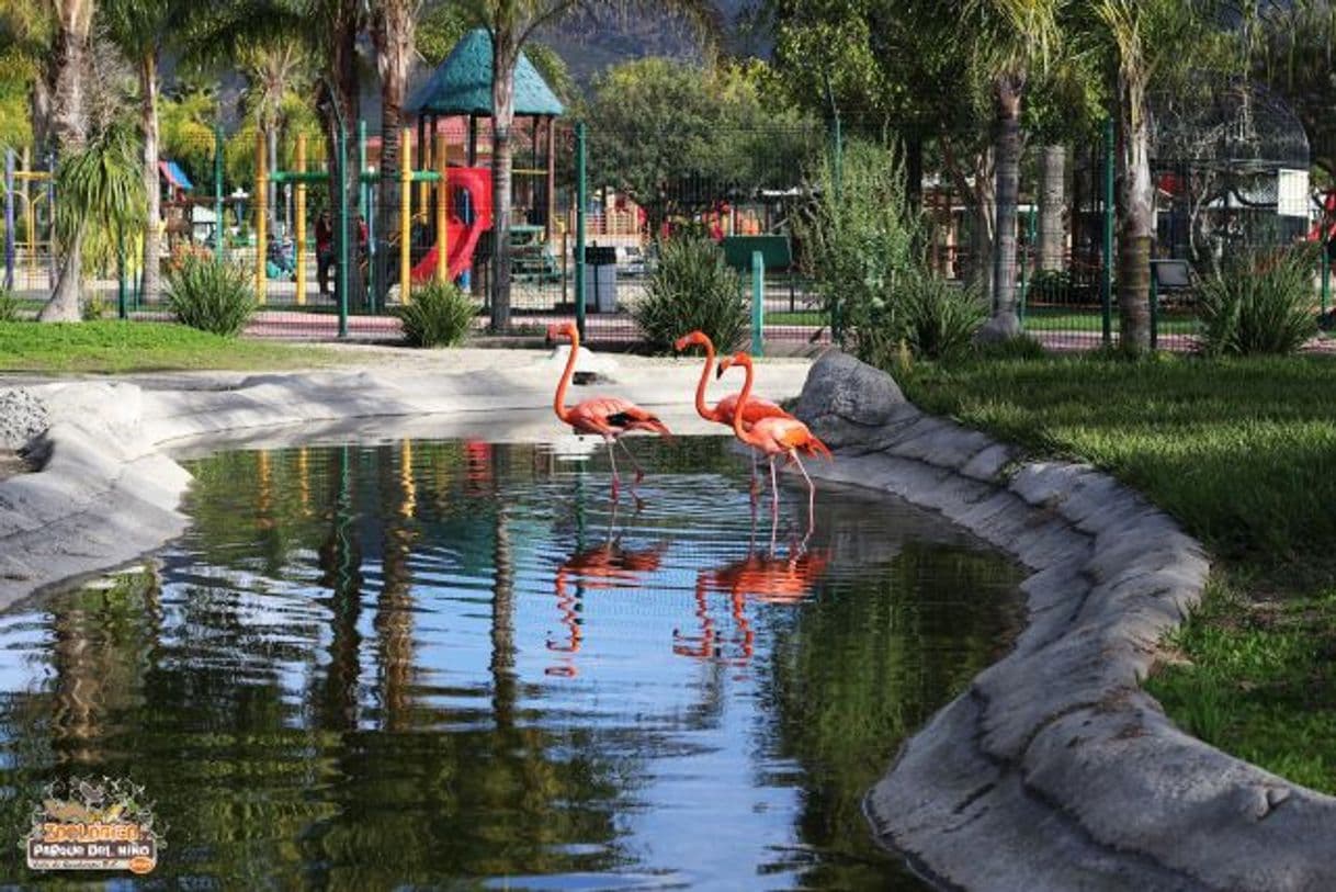 Place Zoológico Parque del Niño Jersey