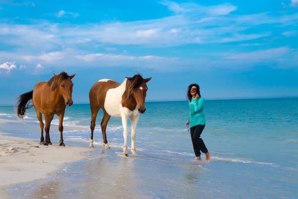 Lugar Assateague Island