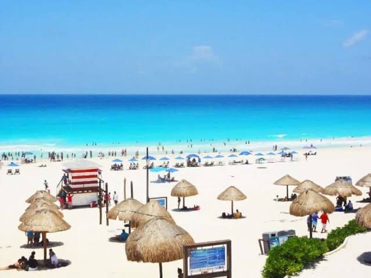 Place Playa Delfines Cancun