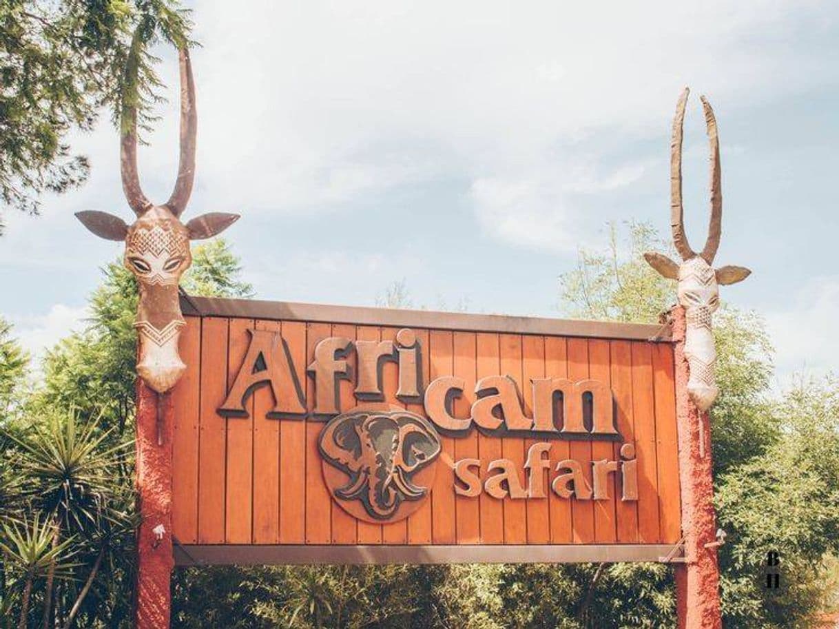 Place Africam Safari