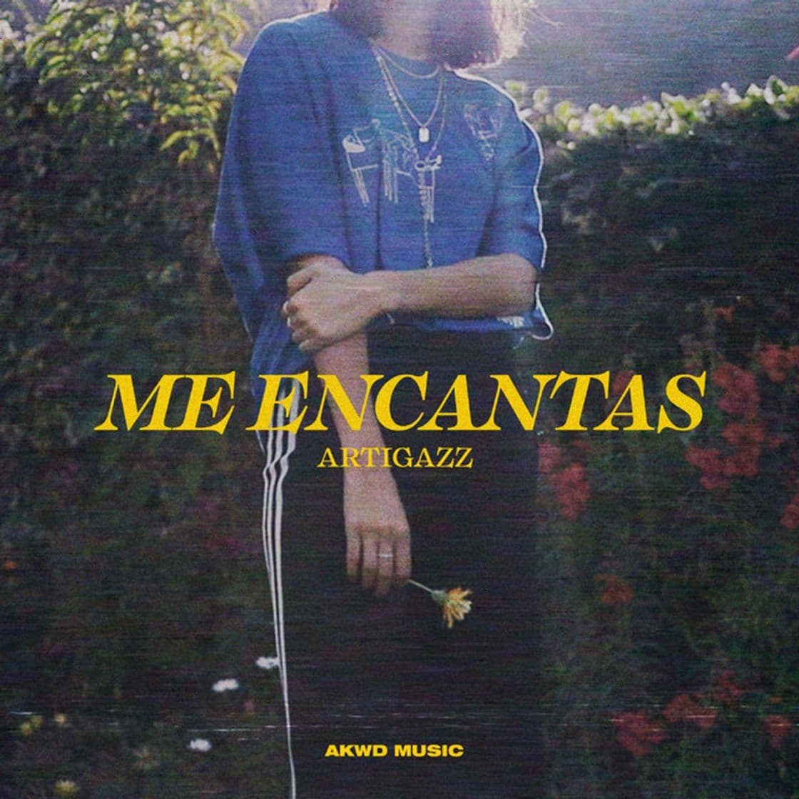 Canción Me Encantas