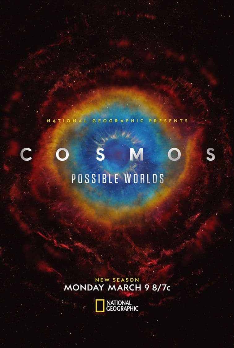 Book Cosmos Possible Worlds