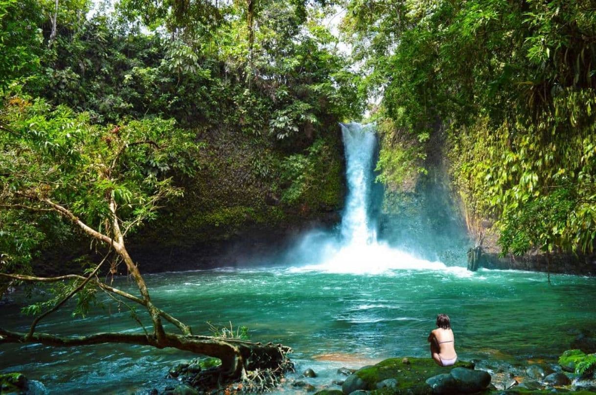 Lugar Puerto Quito