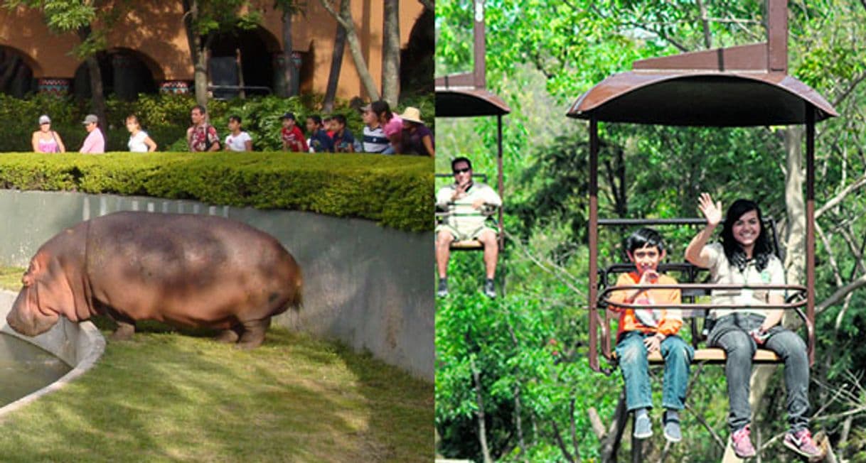 Lugar Zoológico Guadalajara