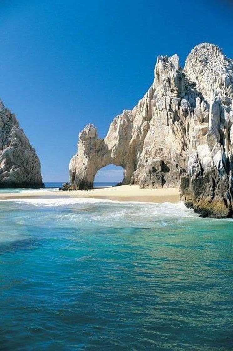 Place Los Cabos