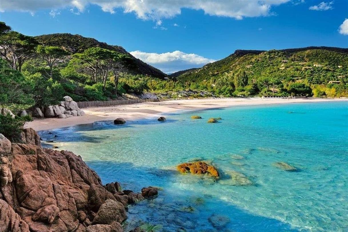 Lugar Plage de Palombaggia