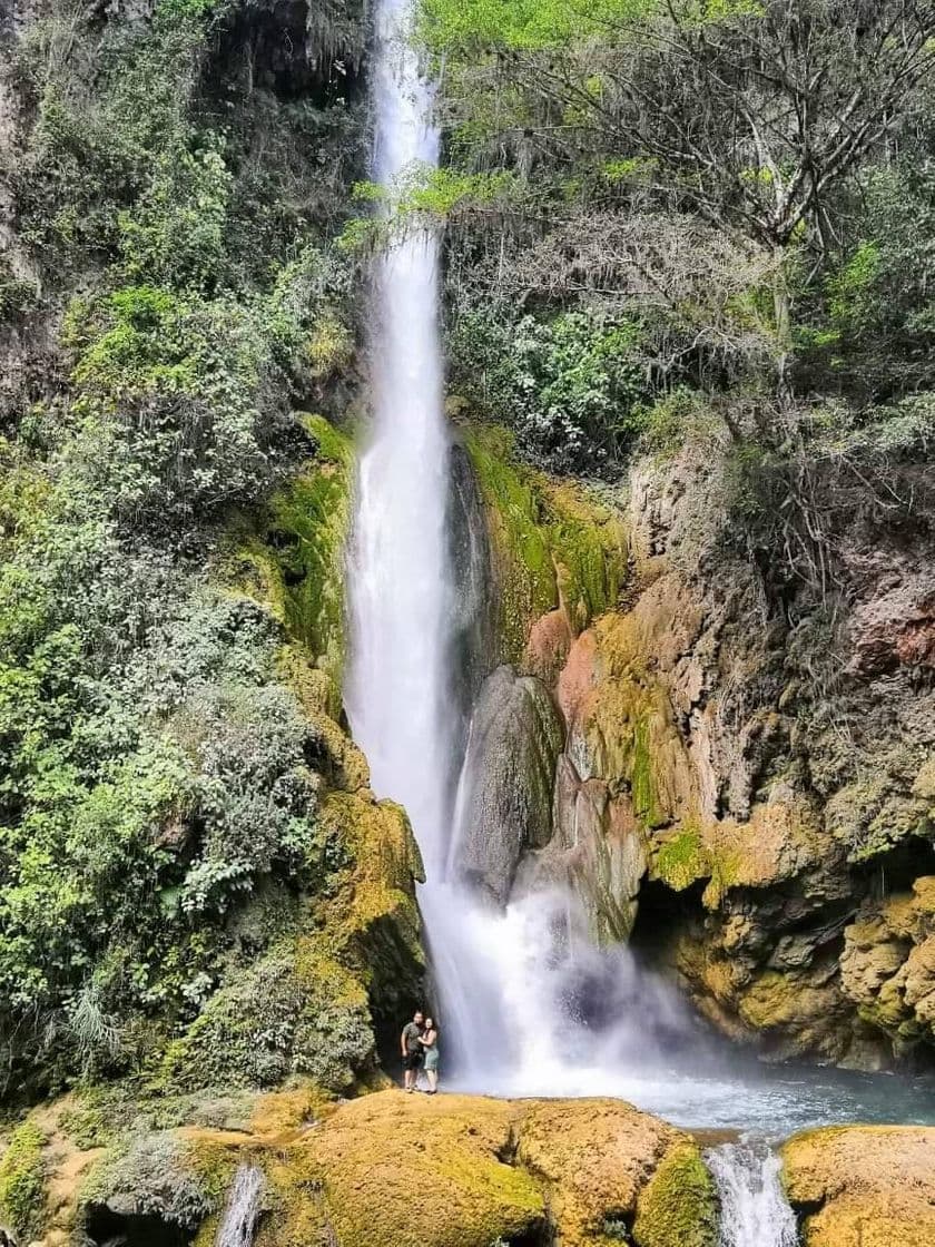 Lugar Cascada el Aguacate