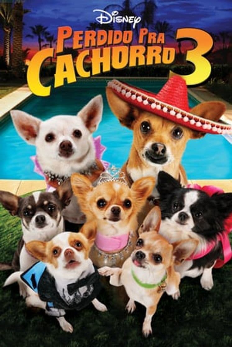 Película Beverly Hills Chihuahua 3 - Viva La Fiesta!