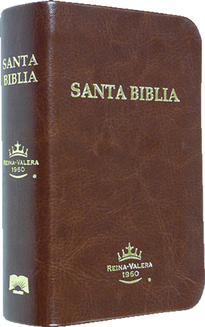 Moda Santa Biblia 