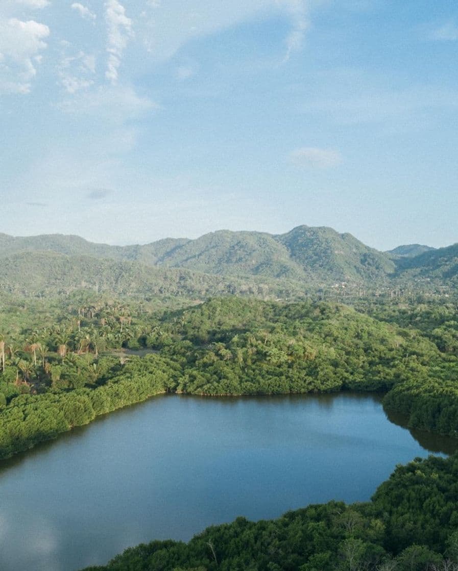 Lugar Cocodrilario La Manzanilla