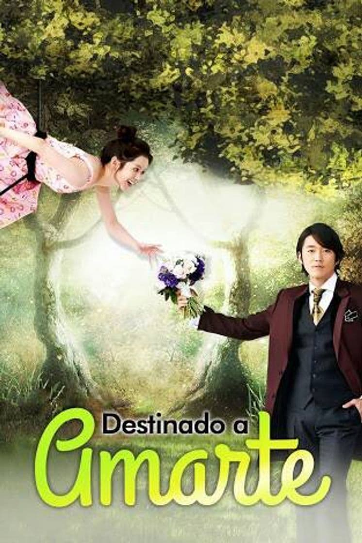 Serie Destined to Love You