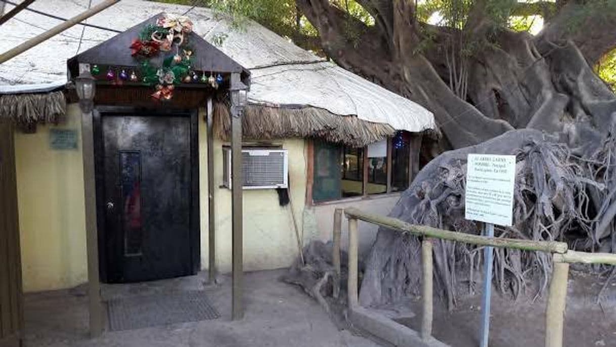 Restaurantes El Arbol Caido