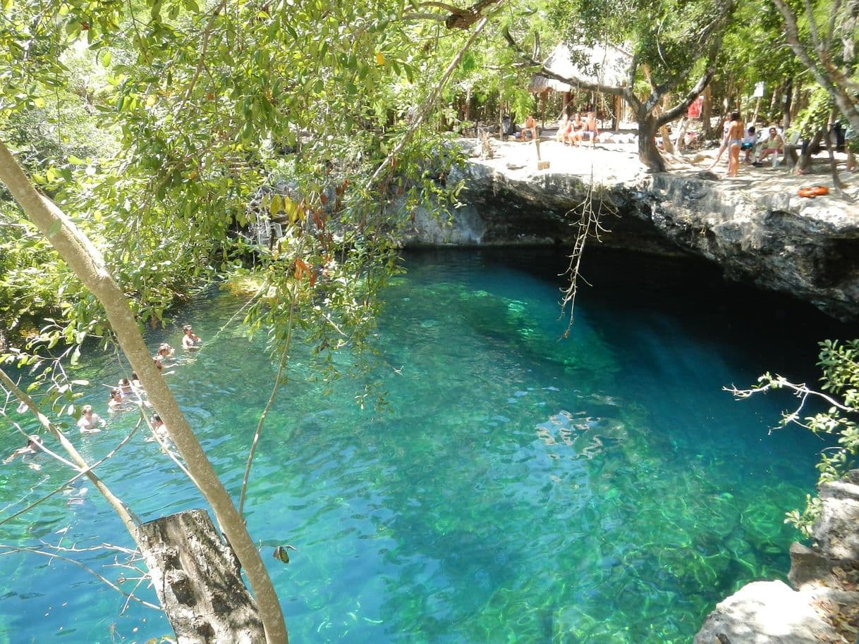 Place Cenote Jardin El Eden