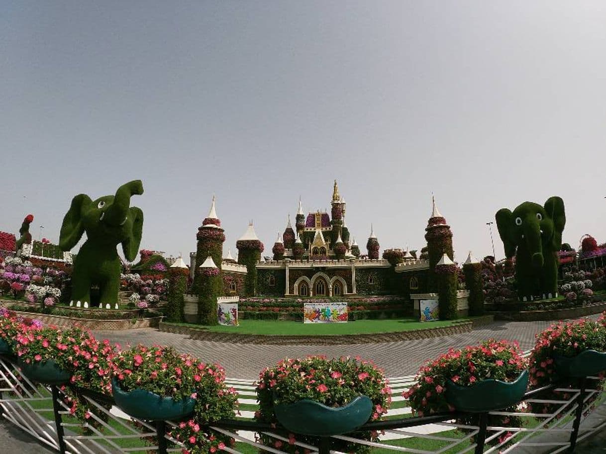 Lugar Miracle Garden