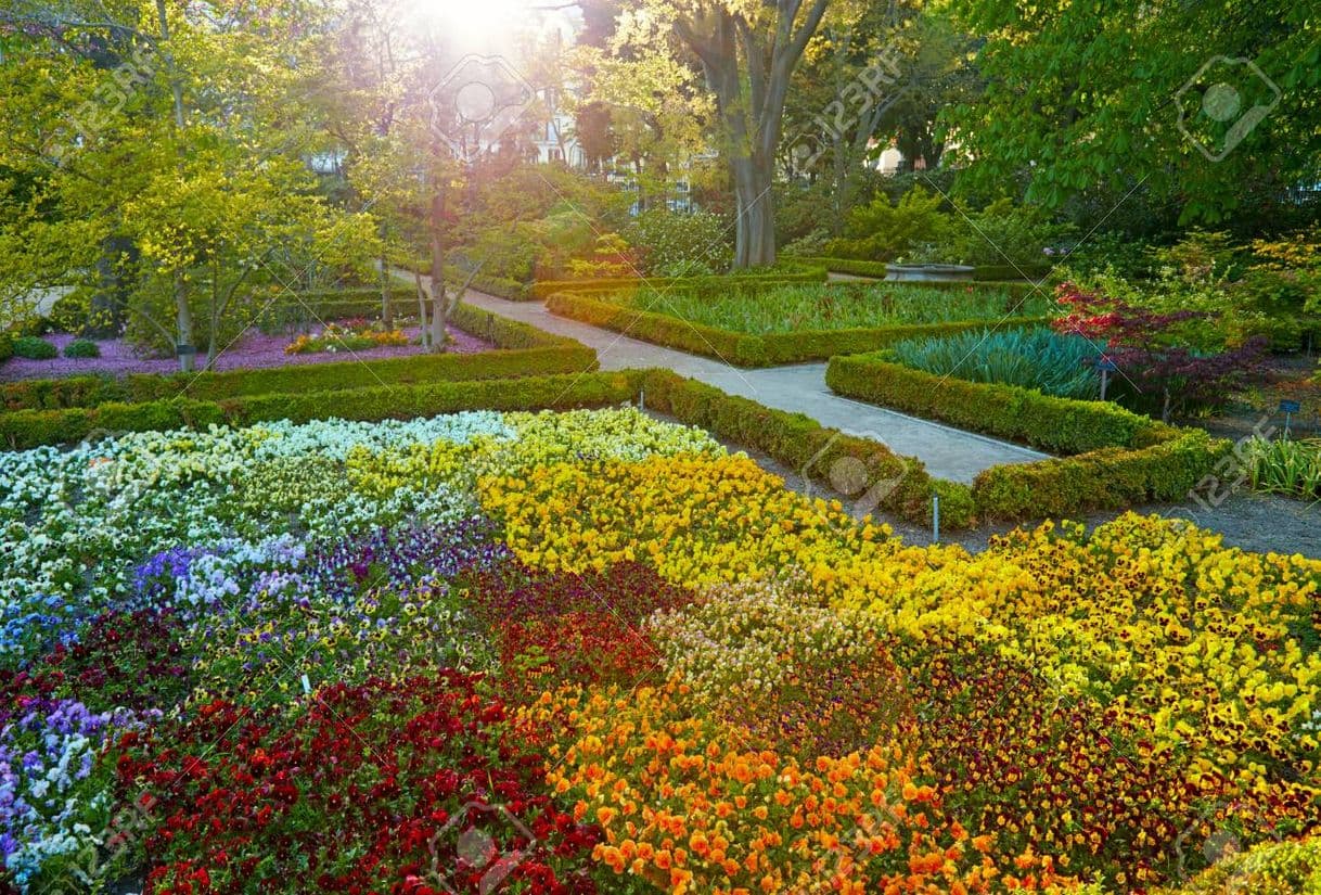 Lugar Real Jardín Botánico