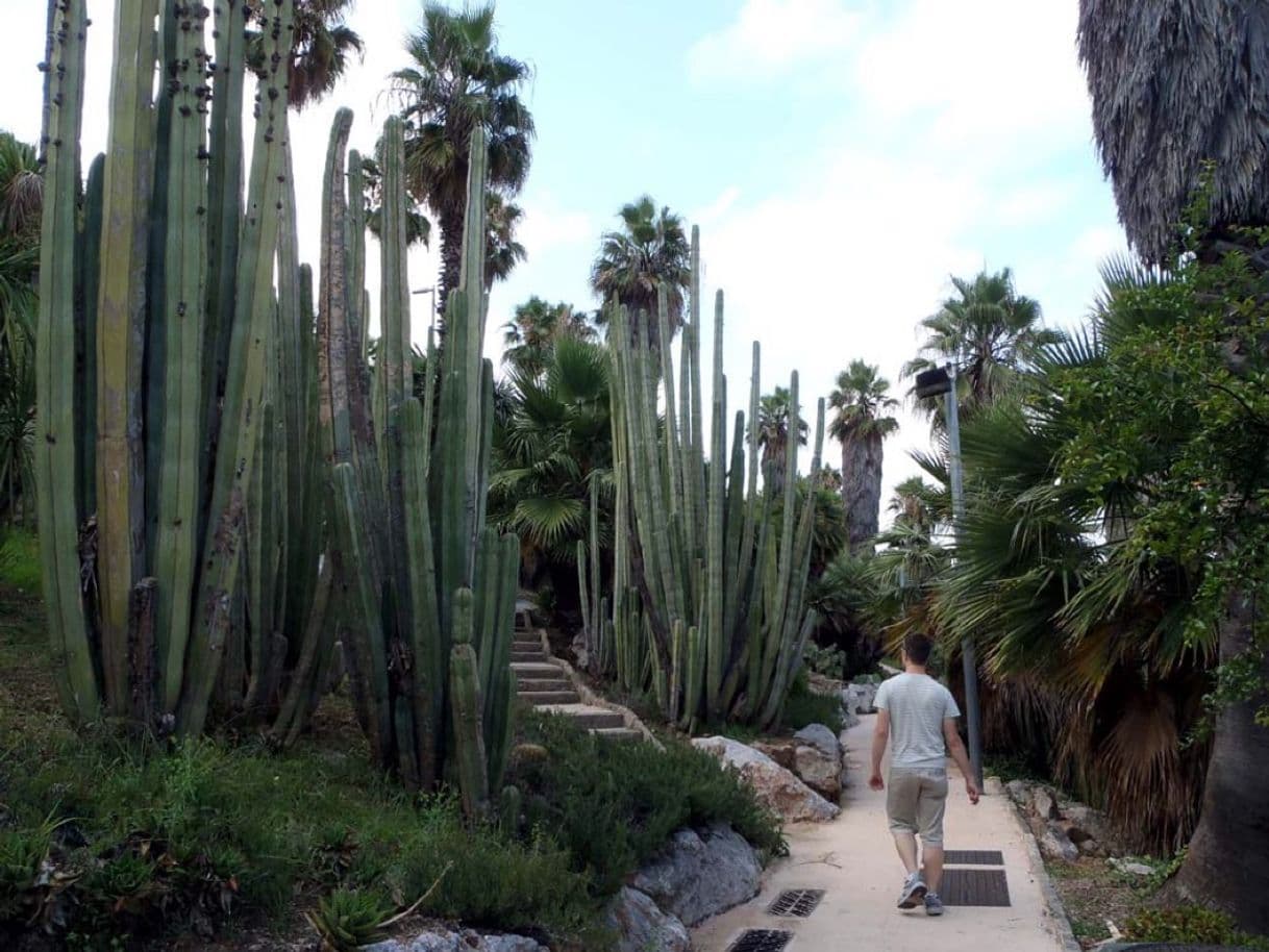 Place Jardines de Mossen Costa i Llobera